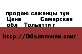 продаю саженцы туи › Цена ­ 150 - Самарская обл., Тольятти г.  »    